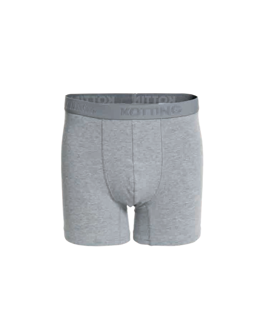 Boxer Hombre Gris