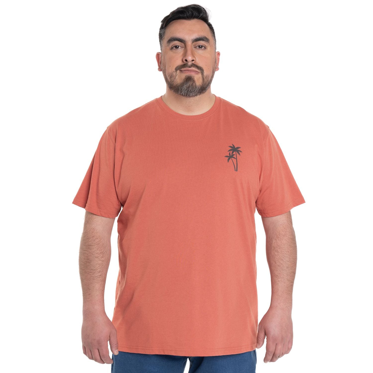Polera Hombre Cuello Redondo Mini Logo