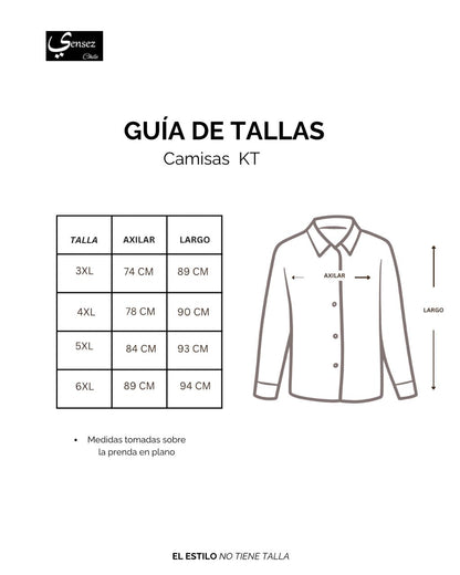 Camisa Hombre Manga Larga Oxford Rayas Gris Regular Fit - Sensez