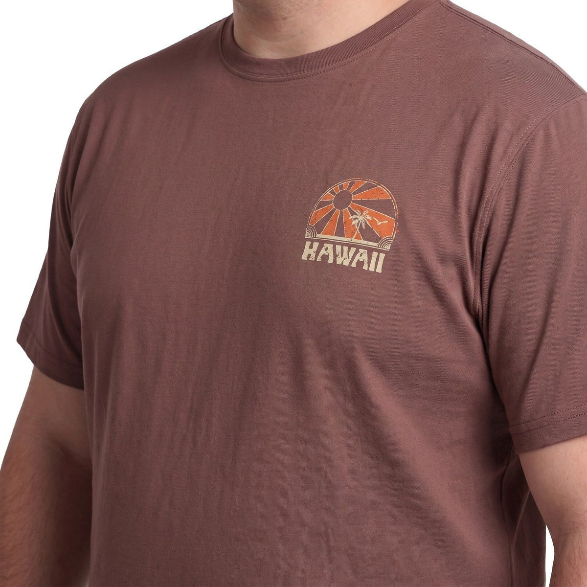Polera Hombre Diseño Espalda Rosado Claro