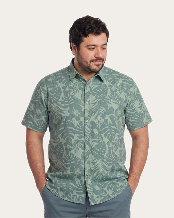 Guayaberas